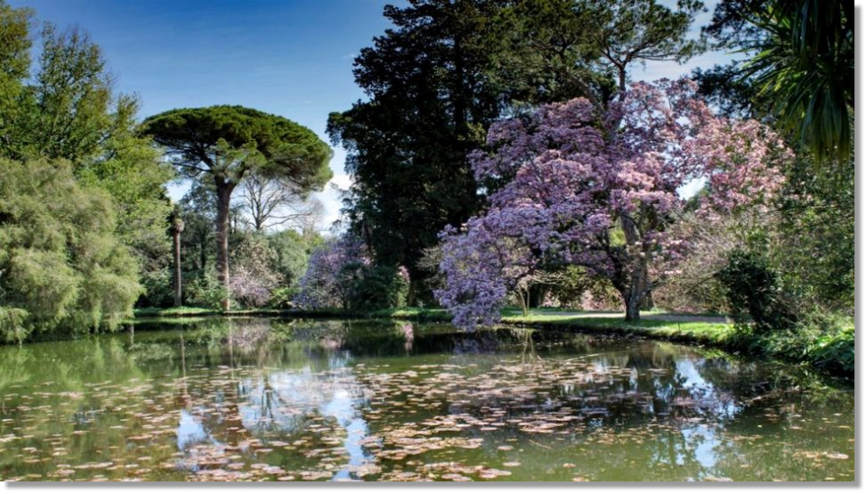 Reggia Caserta Giardino Inglese