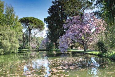 il-giardino-inglese-Reggia-di-Caserta.jpg